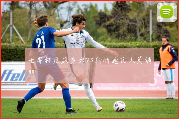 世界杯厄瓜多尔vs科特迪瓦人员调整