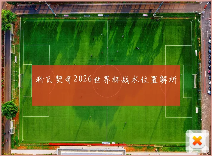 科瓦契奇2026世界杯战术位置解析