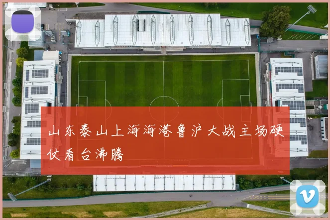 山东泰山上海海港鲁沪大战主场硬仗看台沸腾