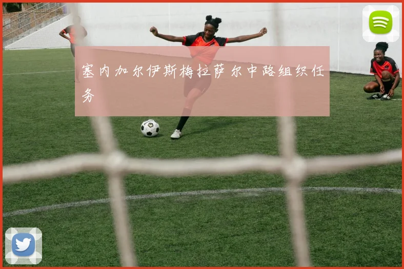 塞内加尔伊斯梅拉萨尔中路组织任务
