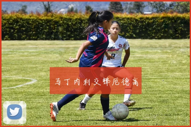 马丁内利交锋厄德高