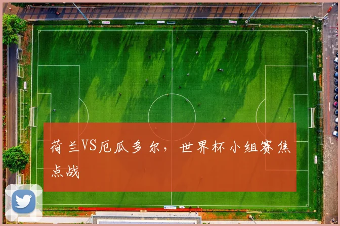 荷兰VS厄瓜多尔，世界杯小组赛焦点战