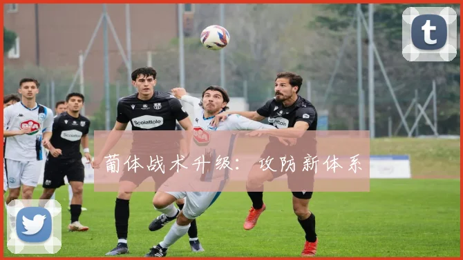 葡体战术升级：攻防新体系
