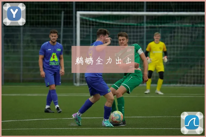 鹈鹕全力出击