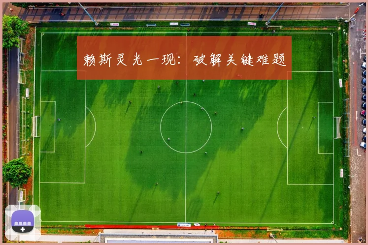 赖斯灵光一现：破解关键难题