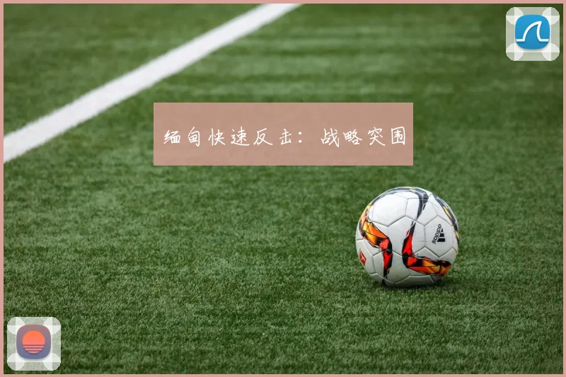 缅甸快速反击：战略突围