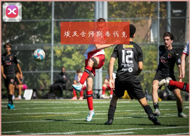 埃及会师斯洛伐克