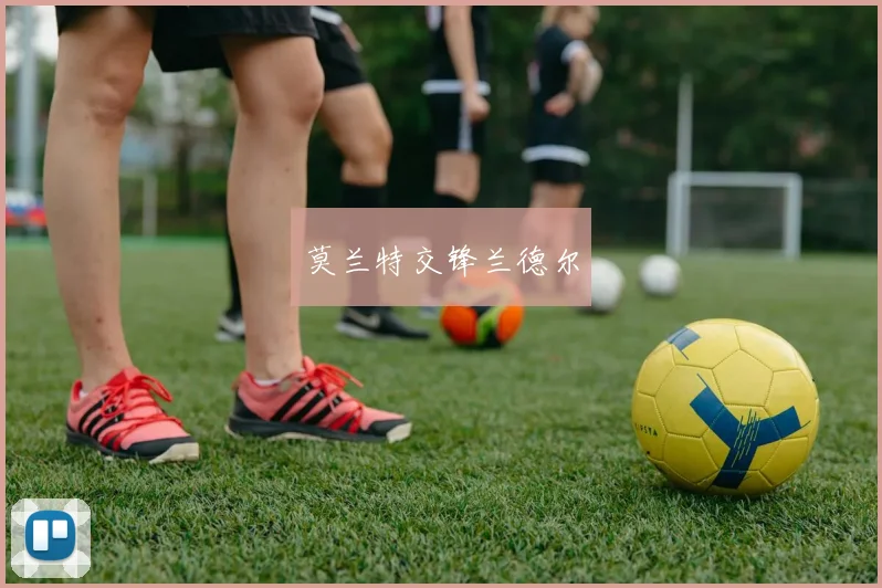 莫兰特交锋兰德尔