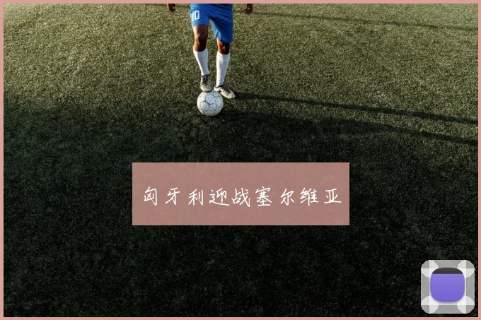 匈牙利迎战塞尔维亚