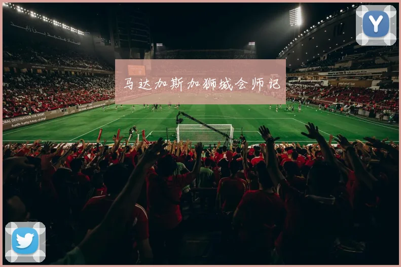 马达加斯加狮城会师记
