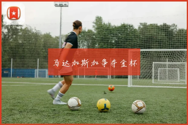 马达加斯加争夺金杯