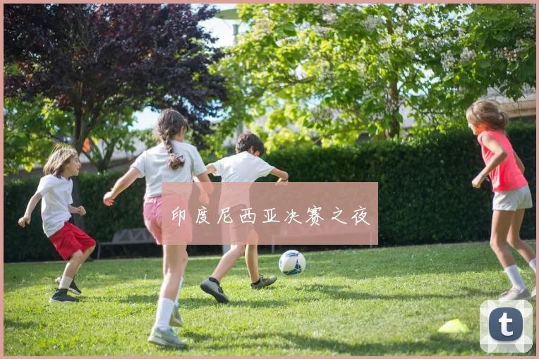 印度尼西亚决赛之夜