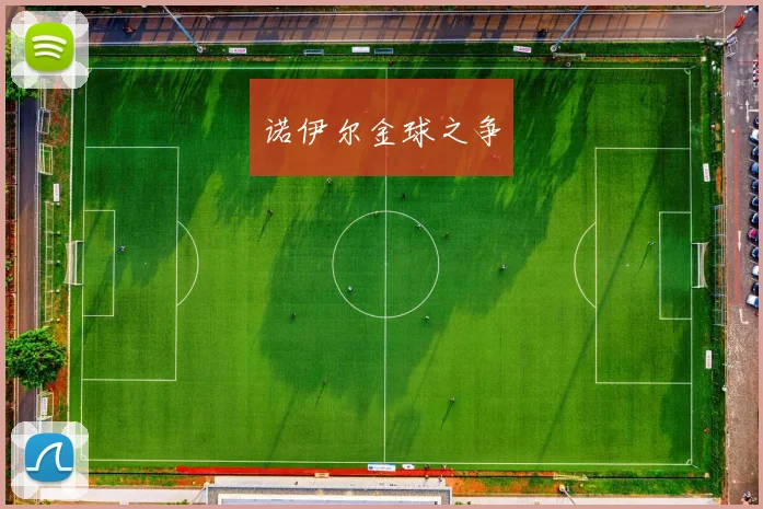 诺伊尔金球之争