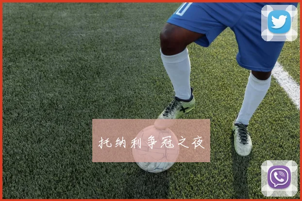 托纳利争冠之夜
