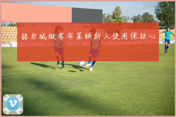赫尔城做客布莱顿新人使用保核心
