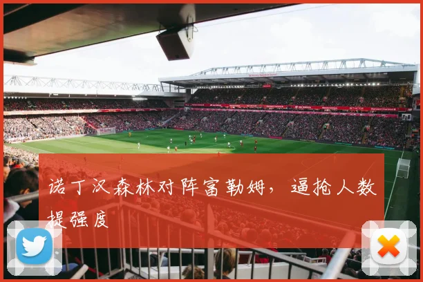诺丁汉森林对阵富勒姆，逼抢人数提强度